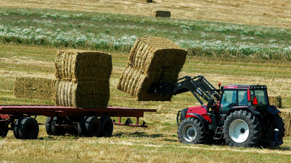 Danske Halmleverandører: Nej, halm som biomasse skader ikke klimaet