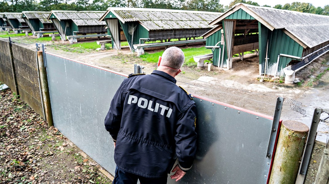 Politiet forsøger at få adgang til en smittet minkfarm tilbage i oktober 2020. Der var hjemmel til at aflive smittede minkfarme og raske minkfarme i en zone tæt på det smittede, men det krævede ny hjemmel at aflive smittede farme uden for de såkaldte risikozoner.  