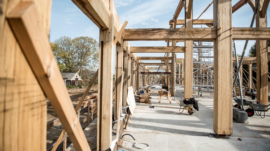 Fældede træer er rene CO2-lagre og kan blandt andet bruges i byggeri som alternativ til beton og stål, skriver Palle Thomsen, Jakob Rygg Klaumann og Simon Auken Beck.