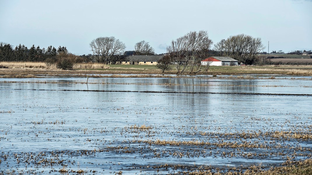 Man bør tænke indsatser som udtagning af lavbundsjorde og etablering af mere privat skov sammen med initiativer for grundvandet, skriver Susan Münster.