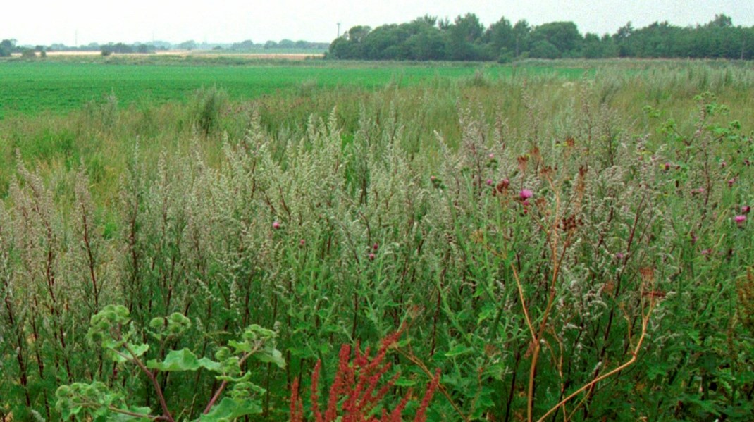 Gjerding og L&F opfordrer til lovgennemgang: At beskytte natur skal ikke være en straf