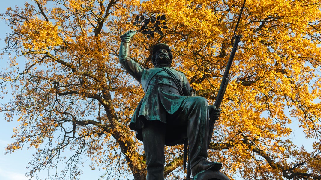 Den danske landsoldat er en bronzestatue, der blev rejst for den danske sejr over slesvig-holstenerne ved Fredericia den 6. juli 1849. En sejr Fredericianerne stadig fejrer i dag. 