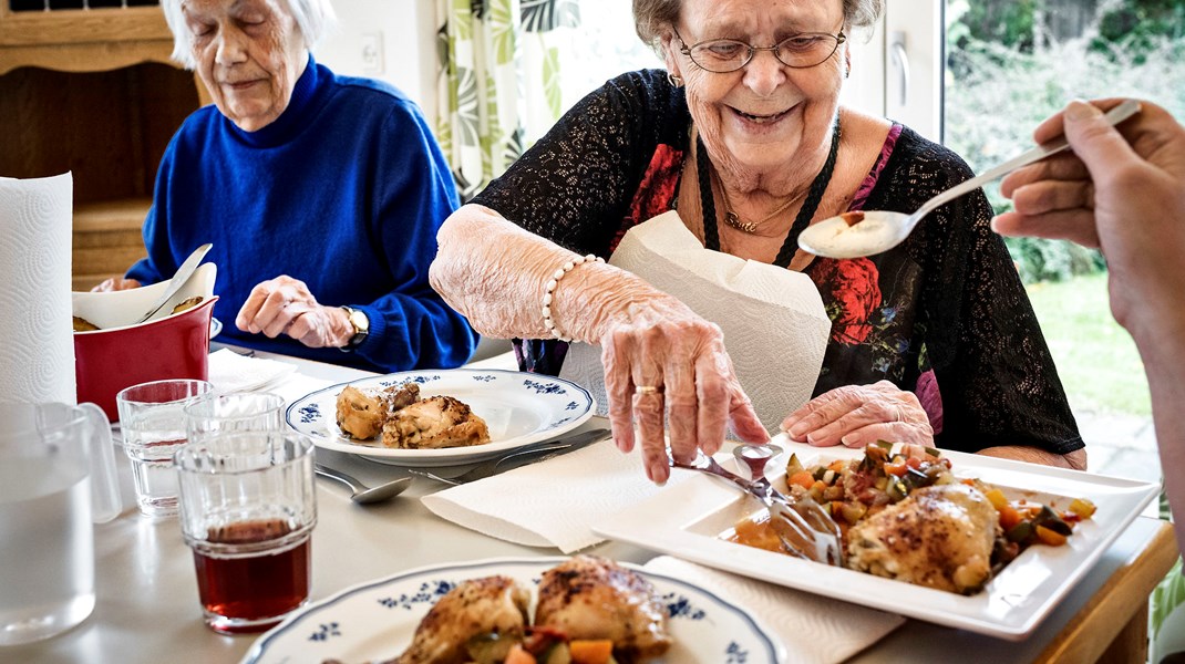 Vegetarisk Forening: De ældre skal også spise mindre kød