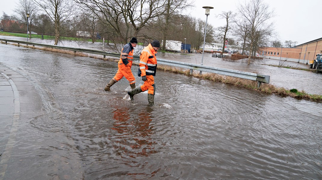 DTU-professor: Vi ved alt for lidt om, hvordan vi klimasikrer Danmark