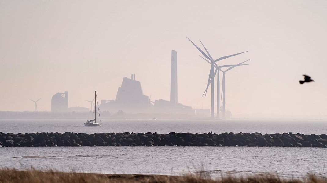 Grønt overblik: Det skal du holde øje med i denne uge 