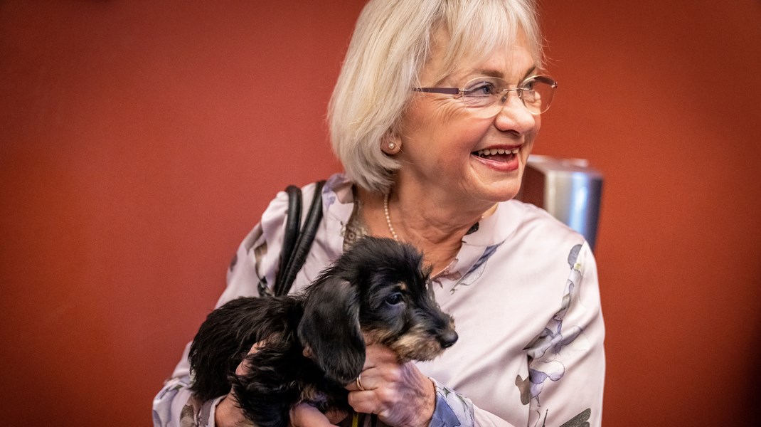 Pia Kjærsgaard fra Dansk Folkeparti fylder 75 år onsdag. Her står hun glad sammen med sin nye ruhårede gravhund Sonja.