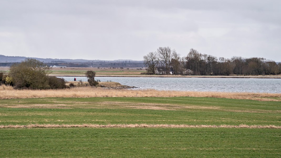 Hård kritik fra Miljøstyrelsen får ministerium til at udskyde lov om ny Limfjordsforbindelse