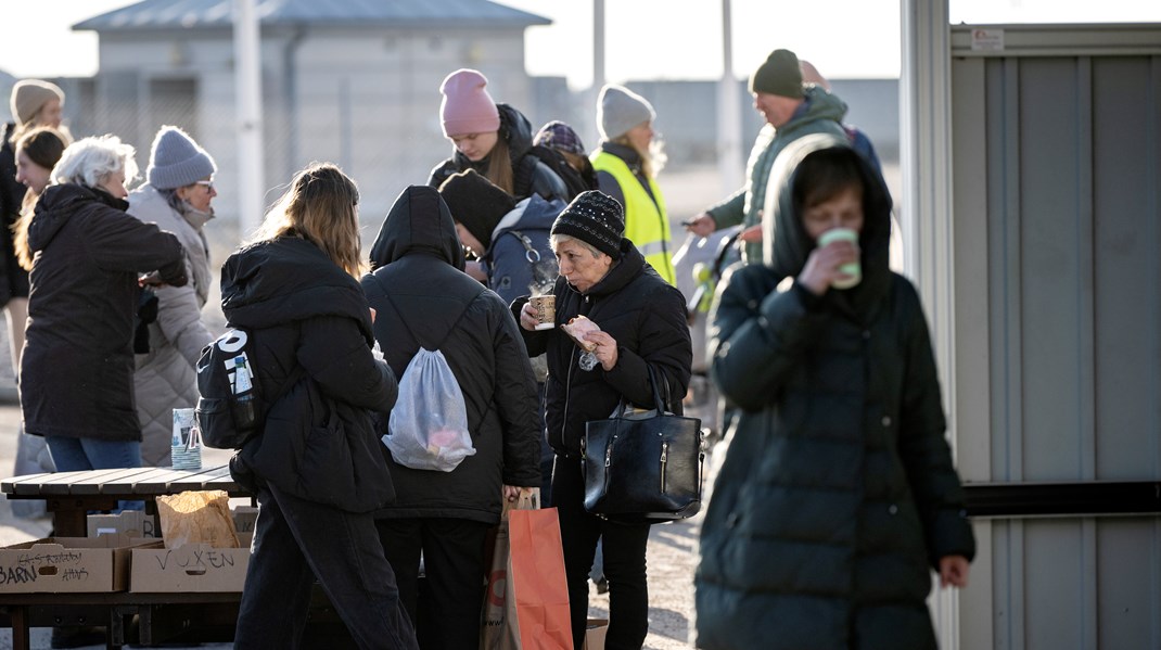 Krigen i Ukraine kan udvikle sig til reel fødevarekrise – og der må det danske landbrug komme til undsætning, skriver Maria Reumert Gjerding og Louise Køster.