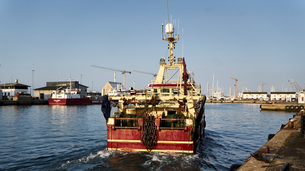 En genopretning af havmiljøet i Østersøen vil tage mange år, så det ser ikke ud til, at tidligere tiders fiskeri efter torsk kan genoptages inden for en kort årrække, skriver Jørgen Dalskov og Marie Storr-Paulsen.