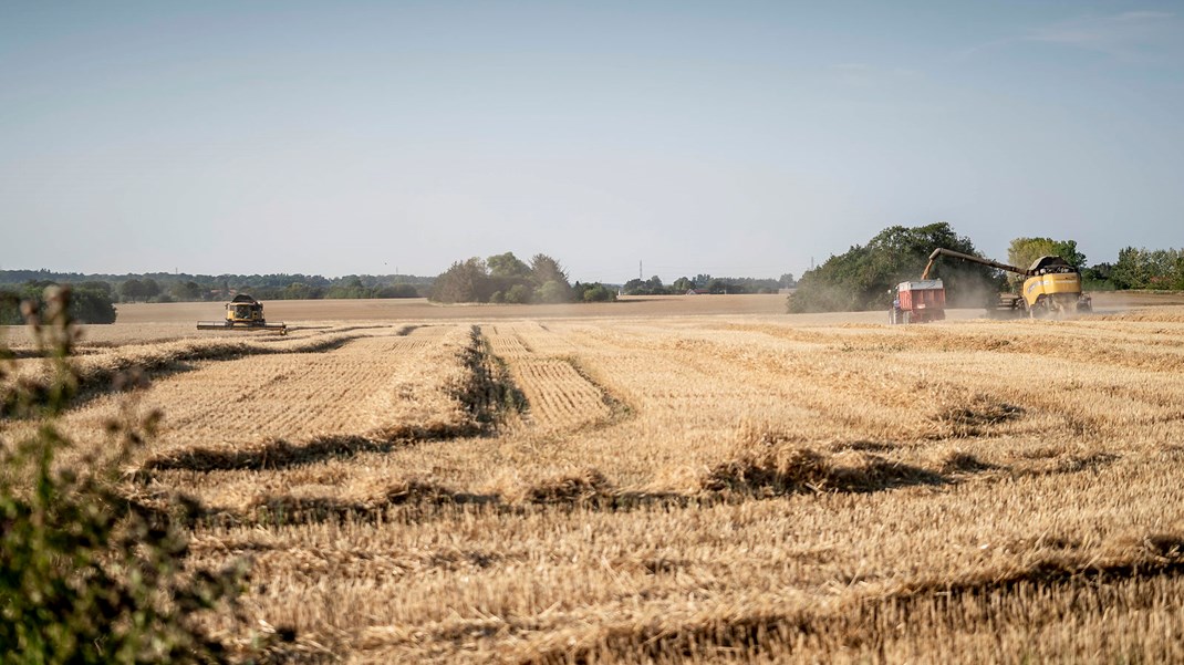 Landbrugsstyrelsen får skarp kritik for sin opfølgning på en række tilskudssager, hvor der er mistanke om svig. (ARKIV)