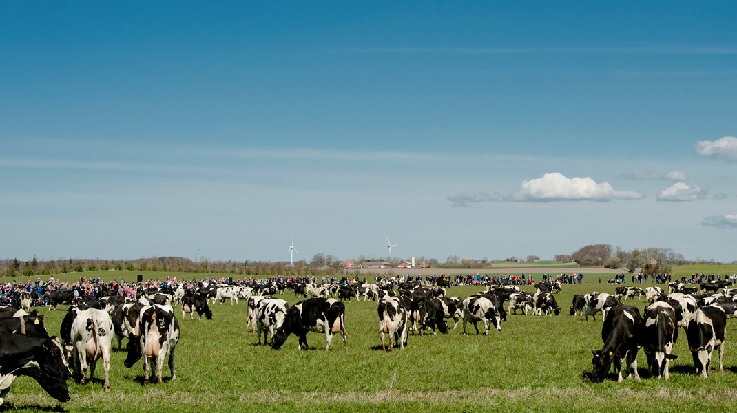 Ny temadebat: Skal landbrugets afgiftsfonde gentænkes?