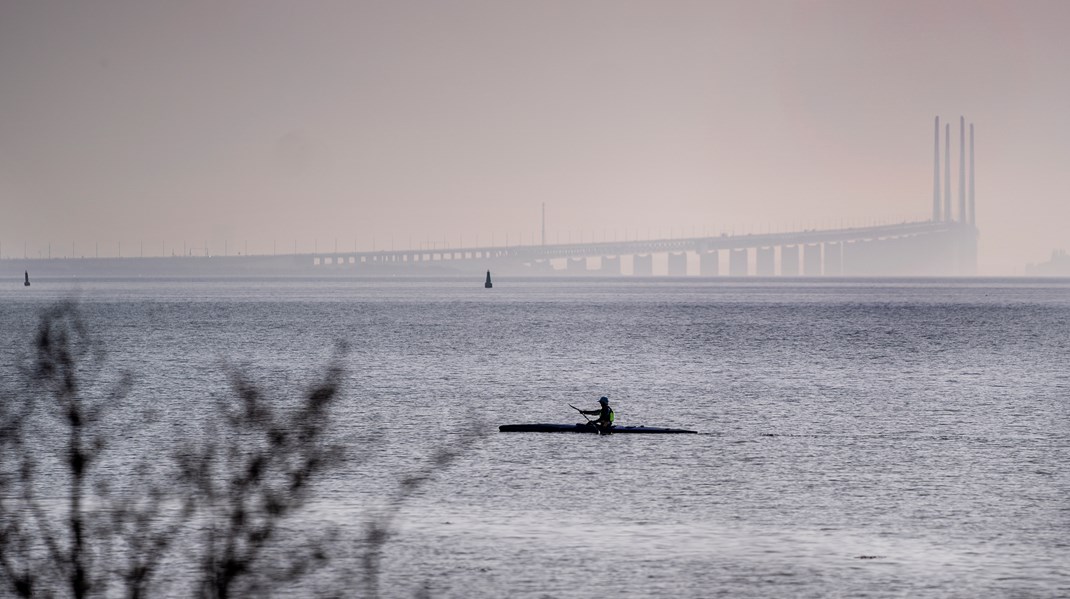 København, Malmø og DI: Danskere og svenskere skal forenes på et fælles arbejdsmarked