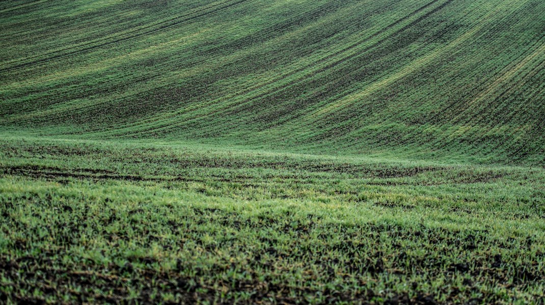 Den grønne omstilling kræver, at vi skal håndtere forbundne problemstillinger for klima, biodiversitet, vandmiljø samt land- og skovbrug – og samtidig skal vi styrke bosætning og udvikling i landdistrikterne, skriver Søren Møller.