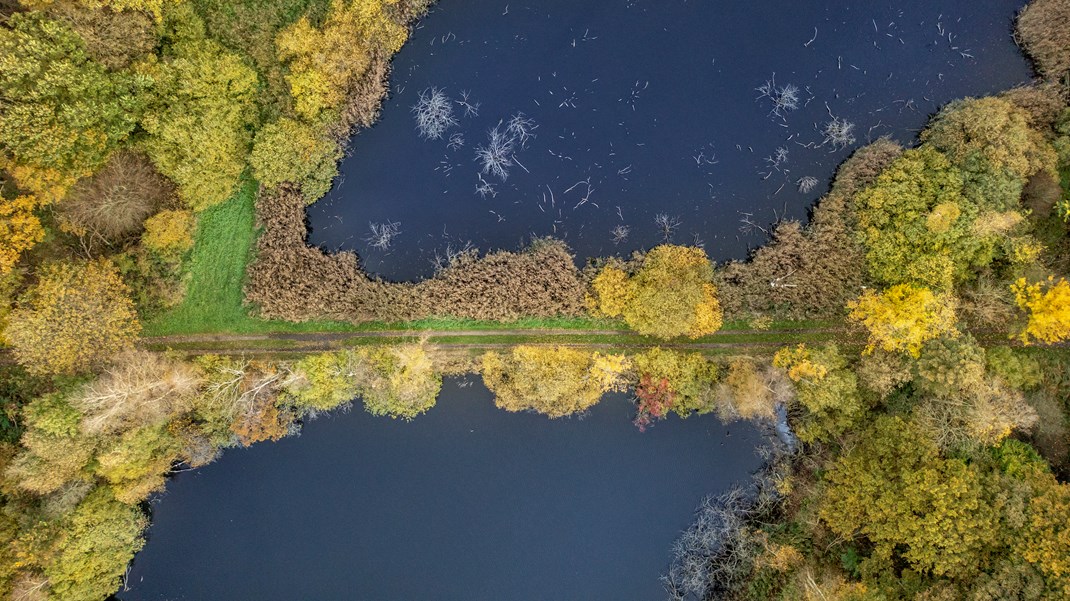 Skovrejsning og brugen af bæredygtigt træ er godt for klimaet, skriver Lærke Flader.