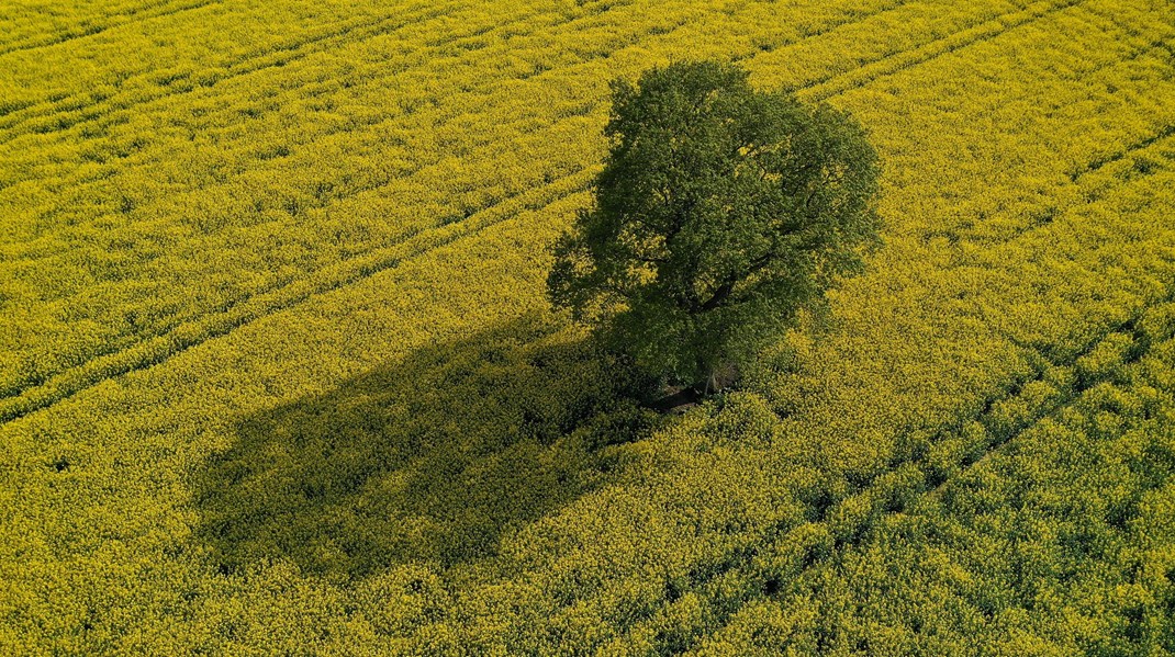 Det kræver et helikopterperspektiv at lave samfundsmæssigt optimal planlægning. Klimahensyn kræver, at perspektivet skal løftes og tilpasses geografien, skriver Tom Heron og Mads Møller.