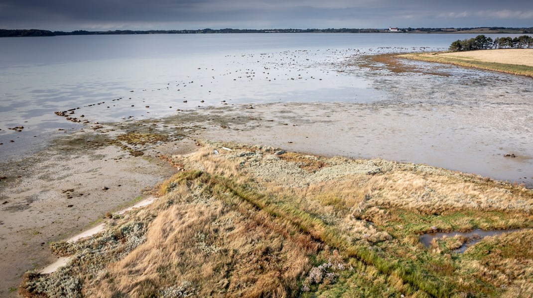 At der bliver fundet rester af PFOS flere og flere steder – blandt andet efter fundet i Korsør – skaber utryghed, skriver Susanne Zimmer.