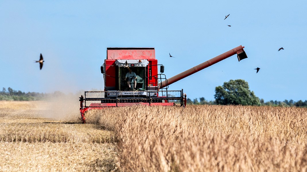 ØL: Danmarks CAP-plan vil ikke skabe betydelig omstilling i dansk landbrug