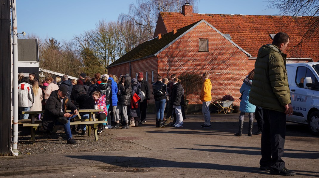 Opsamling på temadebat: Sådan indkvarterer vi bedst ukrainske flygtninge