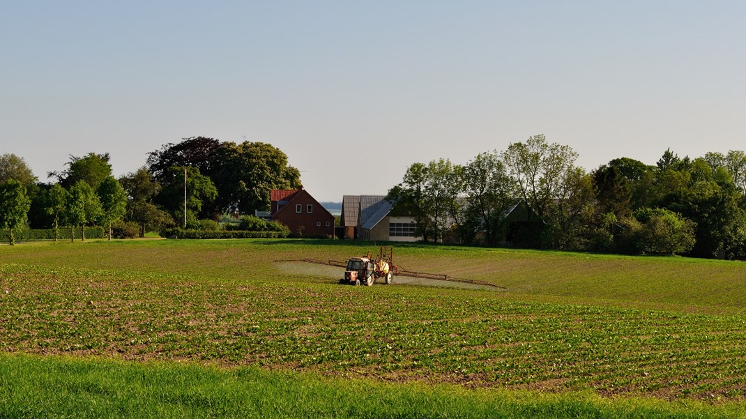 Ny rapport viser, at omstridt pesticid går i grundvandet – men Miljøstyrelsen afviser at gribe ind