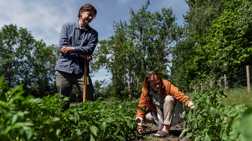 Det er en voksende trend at springe fra overhalingsbanen og i stedet jagte fritidsdrømmene. Men det behøver ikke være enten eller, hvis vi sikrer en bedre balance i arbejdslivet, mener Anja Søndergaard Elsby.