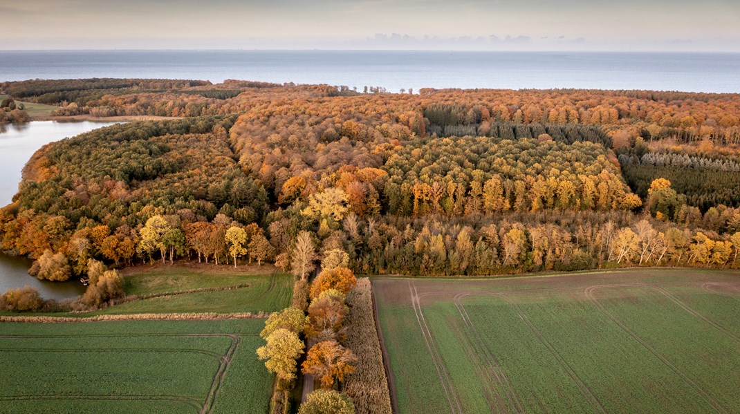 Klimaskovfonden bidrager til at nå Folketingets ambitiøse CO2-reduktionsmål gennem klimaprojekter i Danmark, med etablering af skov og udtager kulstofrige lavbundsarealer.