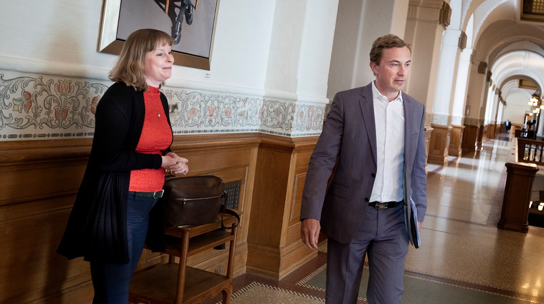 For mange vil det måske lyde som en ond drøm, men i en blå regering med støtte fra det yderste højre, vil Messerschmidt som kulturminister måske blive det, der får puslespillet til at gå op, skriver Niels Frid-Nielsen.