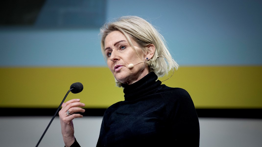 Marlene Wind er professor ved Institut for Statskundskab på Københavns Universitet.