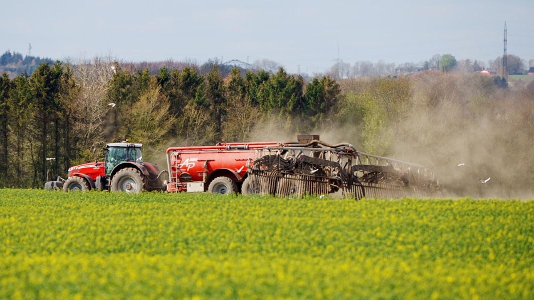 Reduktioner kommer ikke uden om den animalske produktion eller privatbilismen – det er EU-kravenes omfang for store til at undgå, skriver Andreas Stokkendal.