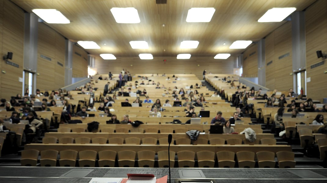 Den manglende søgning til sprogfagene har ført til, at man rundt om på universiteterne har lukket og slukket flere sproguddannelser. I dag kan man derfor kun læse tysk i København, Aarhus og Odense, mens fransk og spansk kun udbydes som universitetsfag i landets to største byer, skriver Henrik Nevers, Camilla Wang m.fl.