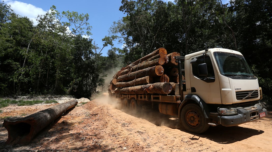 I Amazonas slog antallet af skovbrande endnu en tragisk rekord i august med flere brande, end vi har set de seneste 25 år, skriver Anne-Sofie Sadolin Henningsen, Stefan Thorsell m.fl. På fotoet ses skovrydning i lige netop Amazonas.