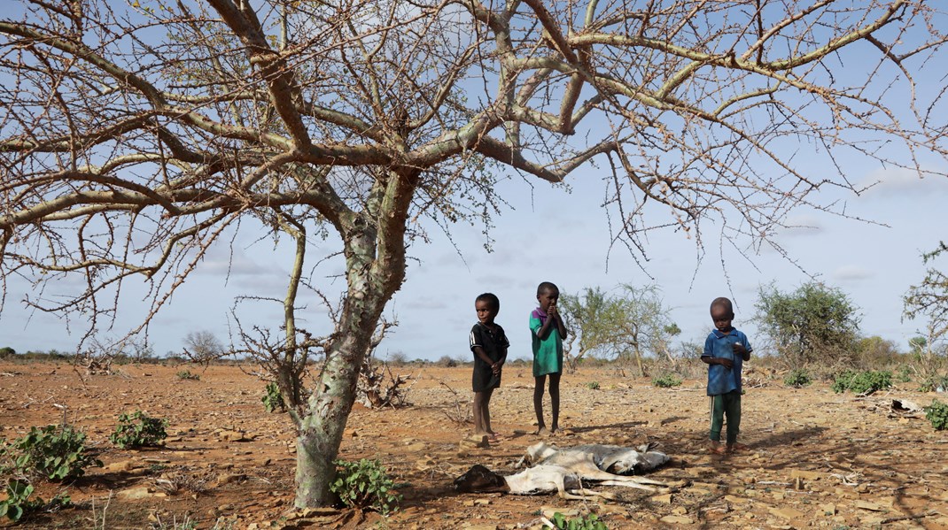 Situationen i Somalia er hamrende alvorlig, skriver Helle Gudmundsen og Jakob Eilsøe Mikkelsen. Arkivfoto.