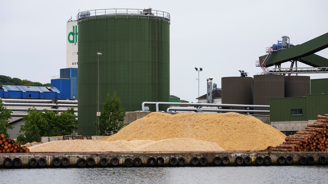 Bæredygtigt produceret biomasse vil i fremtiden kunne bidrage til at trække CO2 ud af atmosfæren gennem brug af BECCS-teknologi, skriver Anders Frandsen.