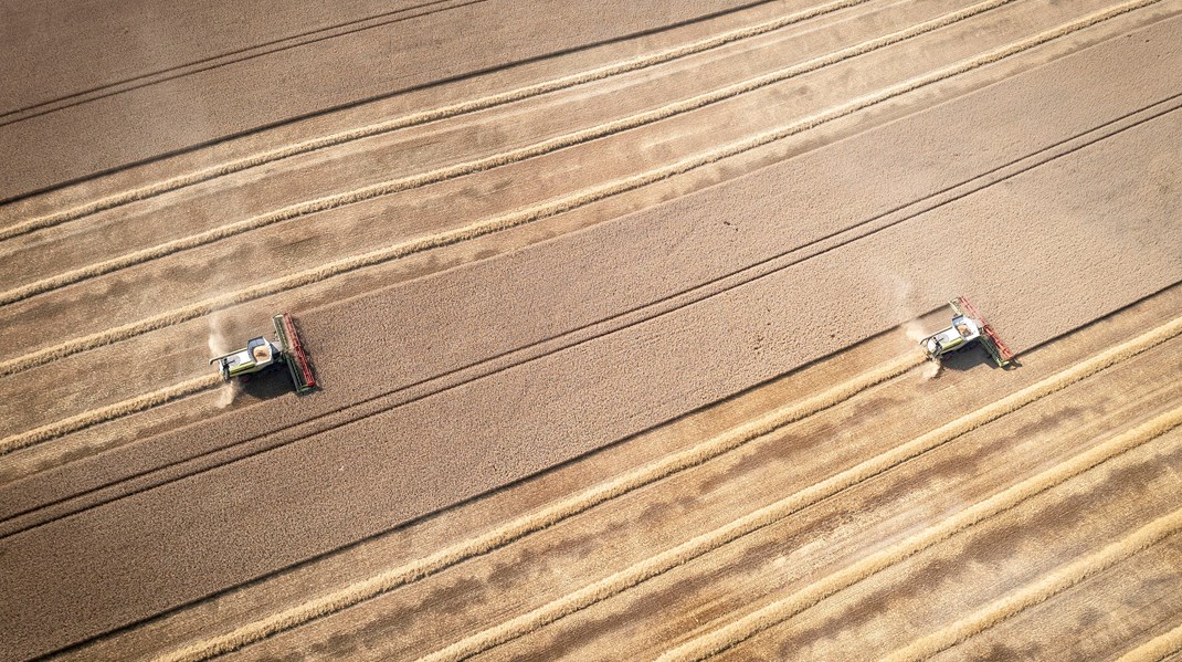 Der skal blandt andet sættes målsætninger for, hvor meget CO2-optag landbruget skal bidrage med, skriver en række grønne organisationer.