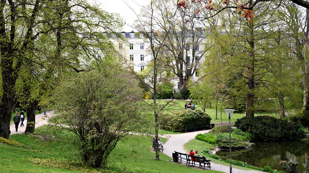 Mere bynær natur og kommunal forpligtigelse til at udlægge flere lommer af natur er noget af det, som fire politikere fra Venstre ønsker for København. 