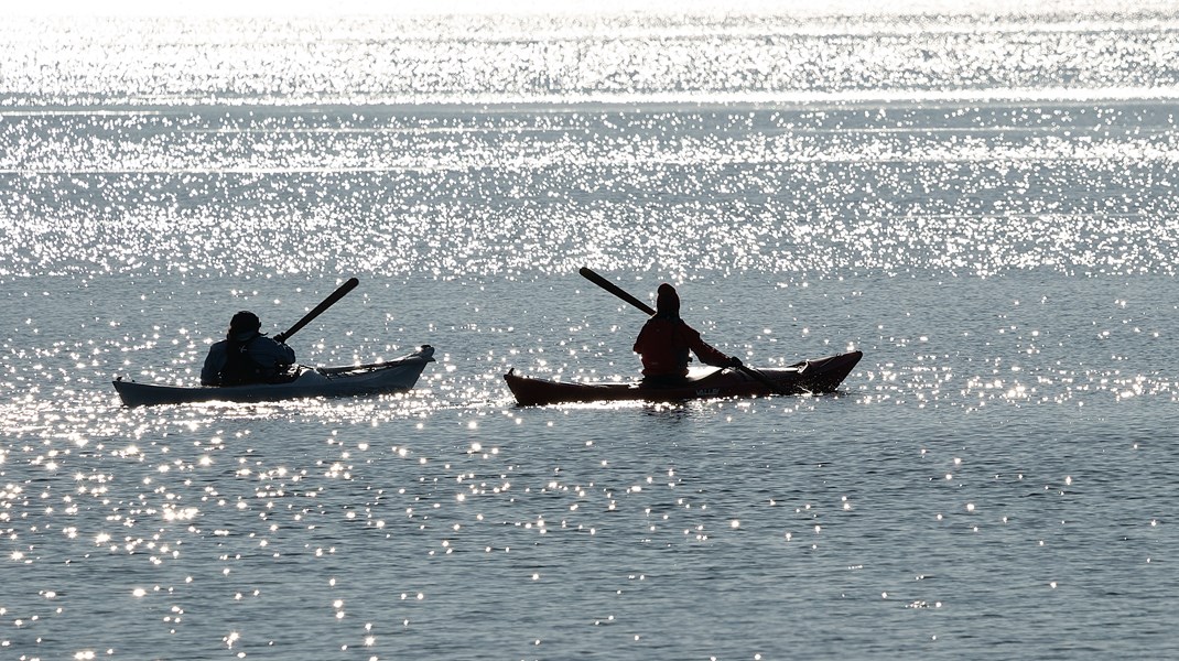 Målet for en ny havplan i Danmark skal ganske enkelt være, at vi får et rent og sundt hav, og at vi bruger havet med omtanke i forhold til klimaet og livet på jorden, skriver Tænketanken Hav.