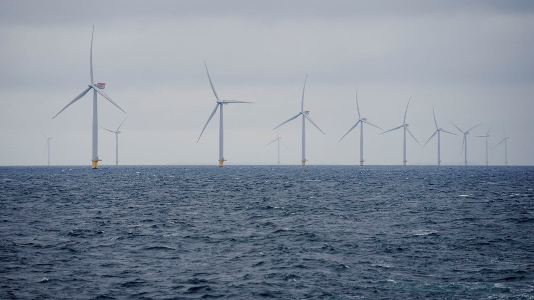 Havvindmøller er tidligere blevet droppet af hensyn til fugle. Nu skal 30 procent af havet helt friholdes fra ideer om vindmøller og energiøer af hensyn til biodiversitet og naturlig havbund, hvis det står til nyt ekspertråd. 