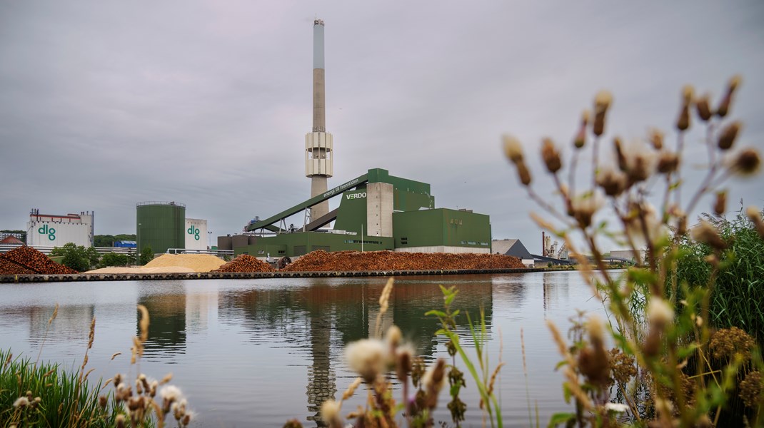 Bæredygtig biomasse har haft og har fortsat en afgørende rolle i den grønne omstilling samtidig med, at vi ikke går på kompromis med vores forsyningssikkerhed, skriver fire fjernvarme-aktører.