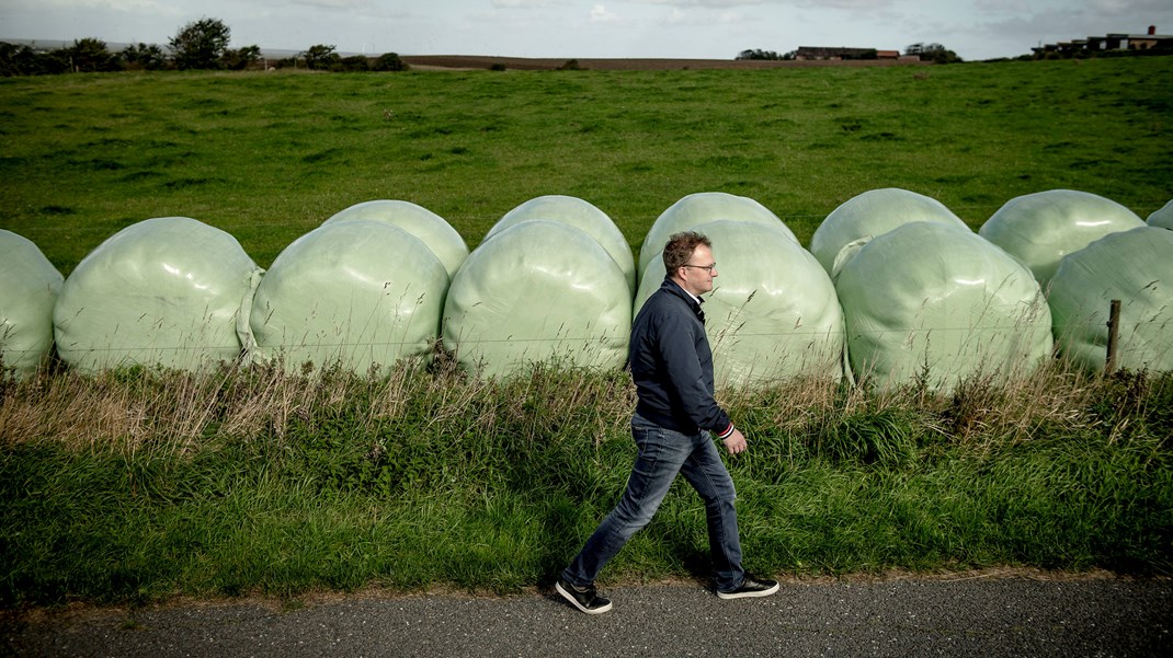 Steffen Damsgaard er formand for Landdistrikternes Fællesråd og sidder i kommunalbestyrelsen for Venstre i Lemvig Kommune.