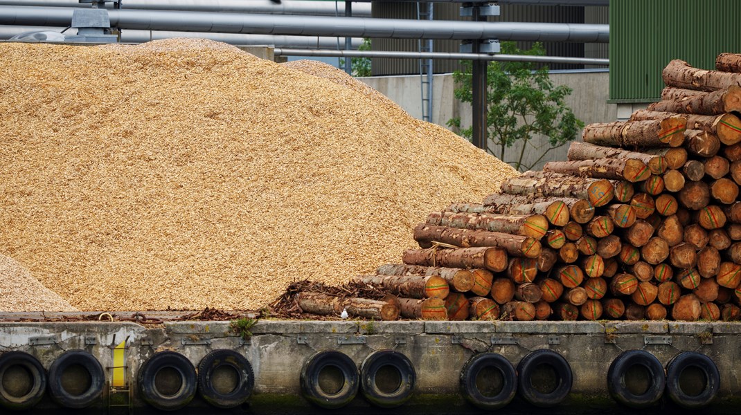 CO2-udledningerne fra afbrænding af biomasse, som eksempelvis træ og træflis, er ikke-eksisterende i udledningsstatistikkerne. Men det skal de, hvis vi skal reagere på klimakrisen, skriver Caroline Bessermann.