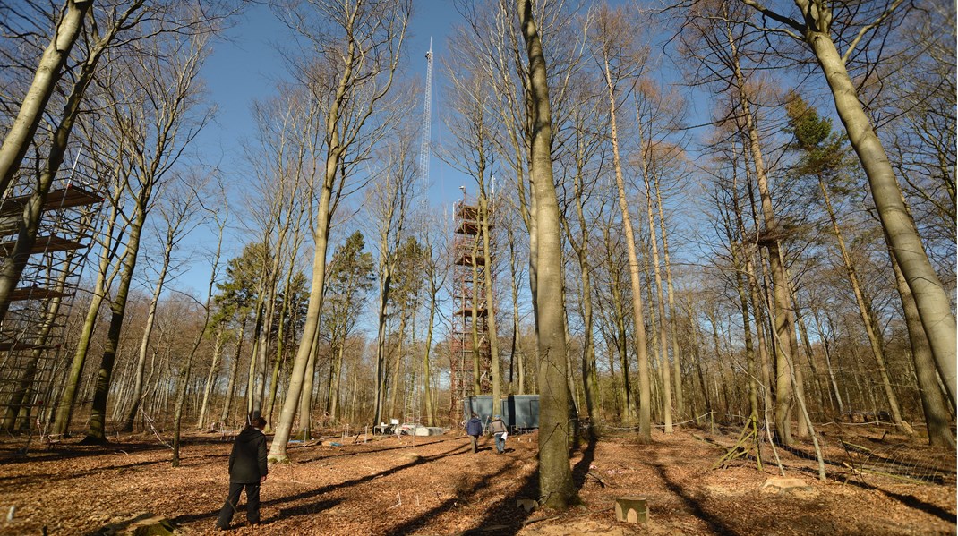 På syvogtyvende år måler denne målestation CO2-optaget i en bøgeskov ved Sorø. Det er den tredje ældste i verden. 