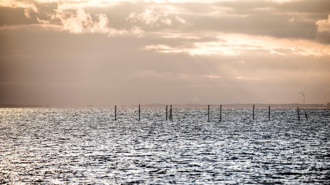 Køge Bugt set fra Avedøre Holme. Arkivfoto.