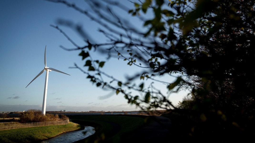 Green Power Denmark: Tilstrækkelig viden kan skabe sameksistens mellem natur og grøn energi