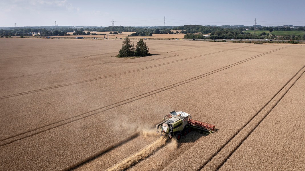 For en landmand er det forbundet med stor risiko at producere planter til fødevarer, skriver Anna Bak Jäpelt.