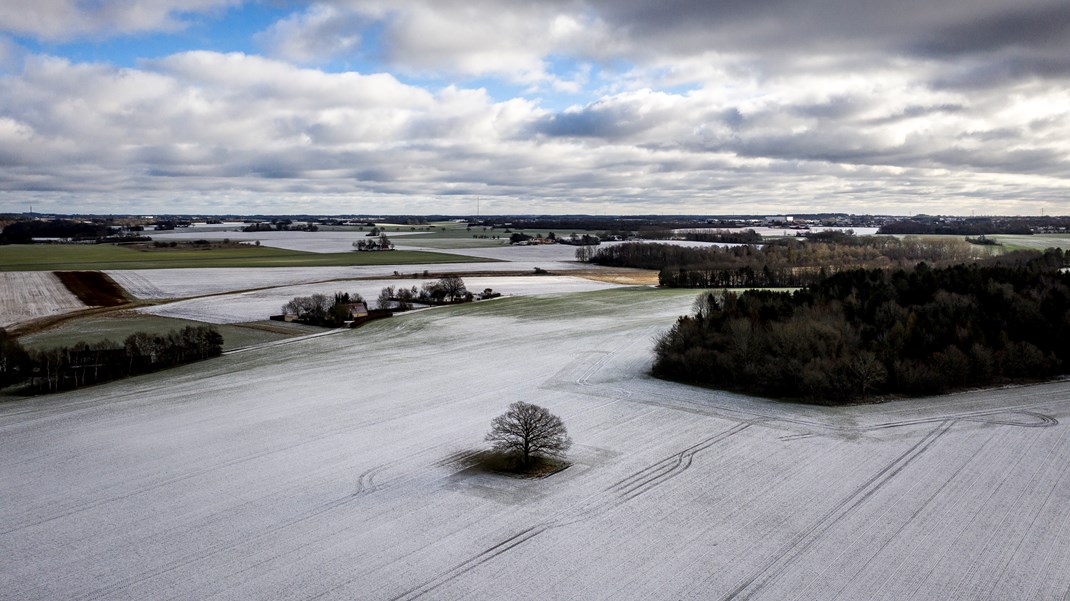 Danmarkskortet kommer til at se en smule anderledes ud, fordi noget landbrugsjord må vige pladsen for skovrejsning. Det klarer vi nok med tanke på, at vi er Europas mest opdyrkede land, skriver Samira Nawa (RV).