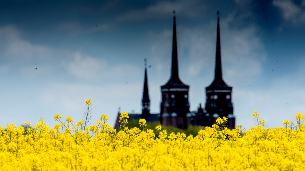 Det kommende år byder blandt andet på bispevalg i Fyens Stift, Jødisk Kulturfestival i København og åbning af Folkekirkens Intranet.