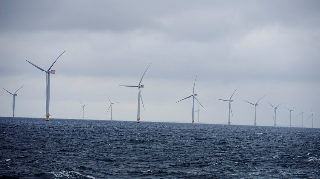 Der er brug for en fordobling af investeringen i vedvarende energi, hvis EU skal nå målsætningen om klimaneutralitet, lyder det fra nyt EU-klimaråd.