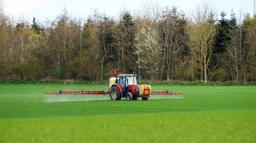 Biolog: Politikernes manglende indgreb i landbrugets PFAS-forurening er skammeligt 