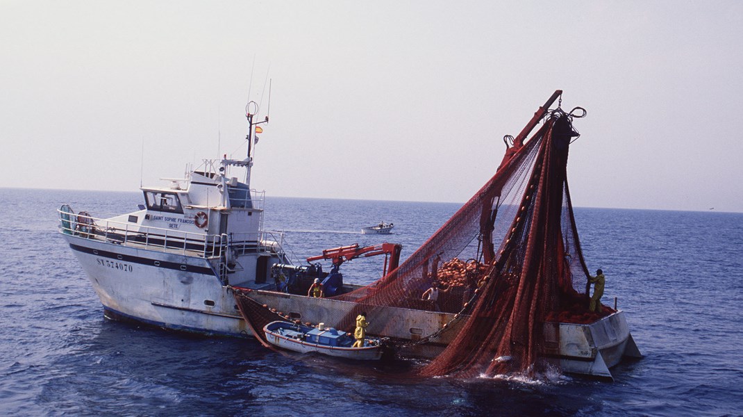 EU vil stoppe naturskadeligt fiskeri i alle beskyttede havområder