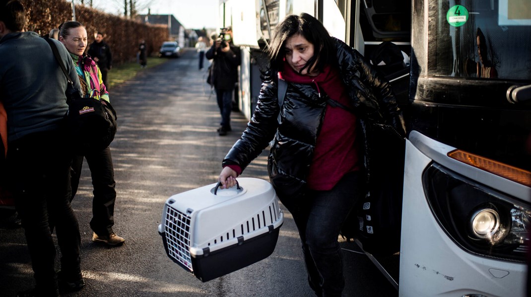 Et år efter Ruslands invasion af Ukraine er over 33.000 ukrainske flygtninge kommet til de danske kommuner. Især en række jyske landkommuner har taget imod mange.