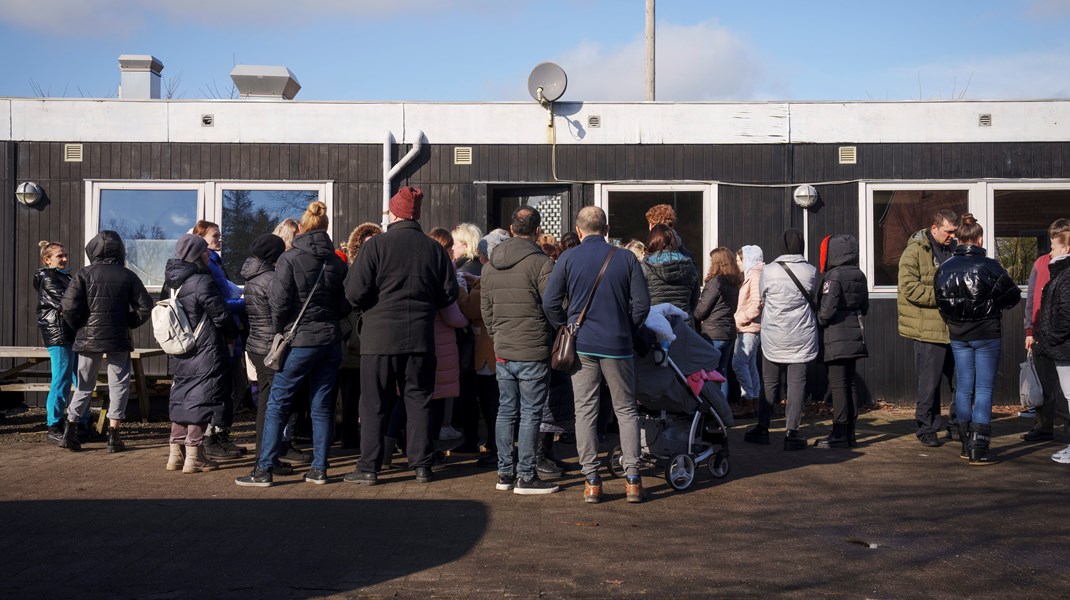 Et år efter benhård strid om ukrainerloven kan der gøres status